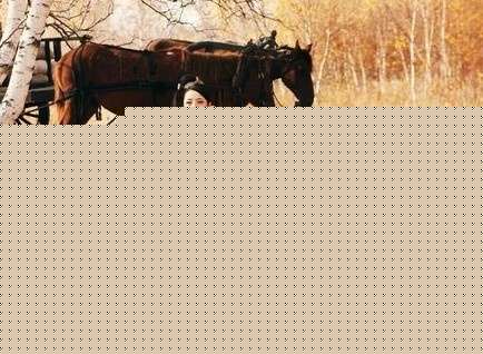 ?ص۹֮ݺô