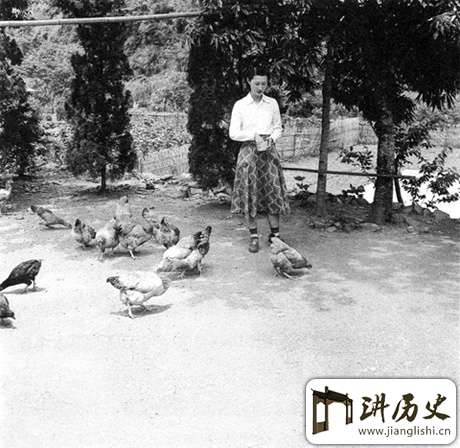 张学良赵一荻台湾幽禁照 一段被尘封的山中岁月